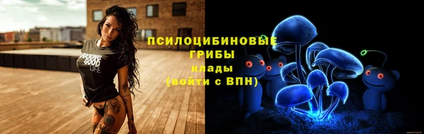 прущая мука Белокуриха