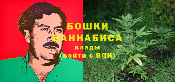 первитин Белоозёрский