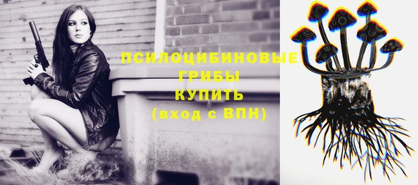 прущая мука Белокуриха